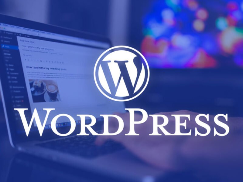 site wordpress avec un designe magnifique et un trés bon referencement